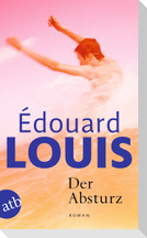 Der Absturz