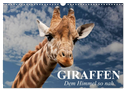 Giraffen. Dem Himmel so nah (Wandkalender 2024 DIN A3 quer), CALVENDO Monatskalender