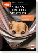 Stress beim Hund verstehen