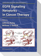 EGFR Signaling Networks in Cancer Therapy