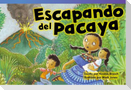 Escapando del Pacaya