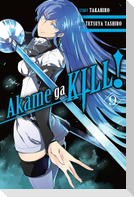 Akame Ga Kill!, Volume 9