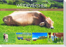 Weideviecher, Kühe liebevolle Wiederkäuer (Wandkalender 2023 DIN A2 quer)