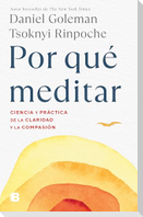 Por Qué Meditar / Why We Meditate