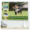 Appenzeller Sennenhunde - Fröhliche Kameraden (hochwertiger Premium Wandkalender 2025 DIN A2 quer), Kunstdruck in Hochglanz