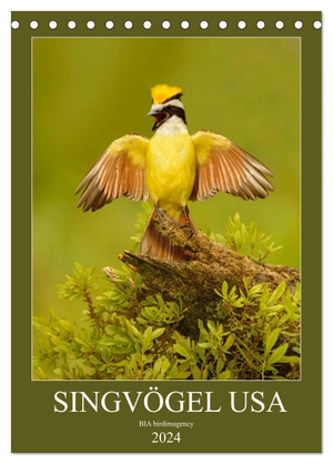 Birdimagency, Bia. Singvögel USA (Tischkalender 2024 DIN A5 hoch), CALVENDO Monatskalender - Monatskalender, Hochformat, 12 Singvogelarten aus den USA. Calvendo, 2023.