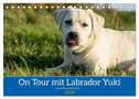 On Tour mit Labrador Yuki (Tischkalender 2024 DIN A5 quer), CALVENDO Monatskalender
