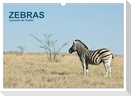 Zebras - Faszination der Streifen (Wandkalender 2025 DIN A3 quer), CALVENDO Monatskalender
