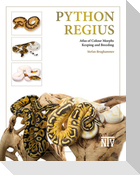Python regius