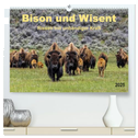 Bison und Wisent - Riesen mit unbändiger Kraft (hochwertiger Premium Wandkalender 2025 DIN A2 quer), Kunstdruck in Hochglanz
