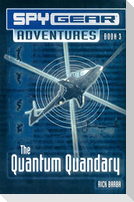 The Quantum Quandary