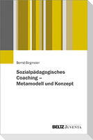 Sozialpädagogisches Coaching - Metamodell und Konzept