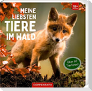 Meine liebsten Tiere im Wald