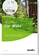 Mein Lapbook: Der Wald