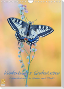 Kunterbuntes Gartenleben - Schmetterlinge in Gärten und Parks (Wandkalender 2022 DIN A4 hoch)