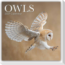Owls - Eulen 2027 - 16-Monatskalender