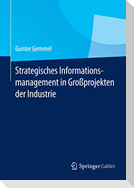 Strategisches Informationsmanagement in Großprojekten der Industrie