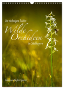 Im richtigen Licht: Wilde Orchideen in Südbayern (Wandkalender 2024 DIN A3 hoch), CALVENDO Monatskalender