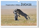 Faszination Afrika: Zebras (Wandkalender 2024 DIN A4 quer), CALVENDO Monatskalender
