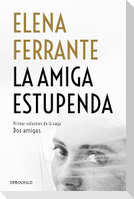 La amiga estupenda (Dos amigas 1)