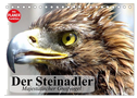 Der Steinadler. Majestätischer Greifvogel (Tischkalender 2024 DIN A5 quer), CALVENDO Monatskalender