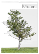 Bäume (Wandkalender 2024 DIN A3 hoch), CALVENDO Monatskalender