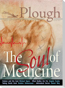 Plough Quarterly No. 17- The Soul of Medicine