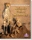Animals Called Mammals