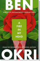 A Fire in My Head