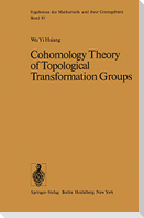 Cohomology Theory of Topological Transformation Groups