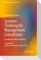 Systems Thinking for Management Consultants