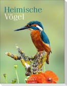 Heimische Vögel Kalender 2027