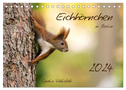 Eichhörnchen in Berlin (Tischkalender 2024 DIN A5 quer), CALVENDO Monatskalender