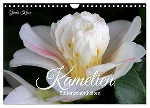 Kruse, Gisela. Kamelien - Blütenschönheiten (Wandkalender 2024 DIN A4 quer), CALVENDO Monatskalender - Camellia japonica bezaubert in der kalten Jahreszeit. Calvendo, 2023.