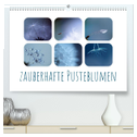 Zauberhafte Pusteblumen (hochwertiger Premium Wandkalender 2024 DIN A2 quer), Kunstdruck in Hochglanz