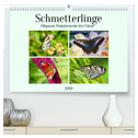 Schmetterlinge - Filigrane Wunderwerke der Natur (hochwertiger Premium Wandkalender 2024 DIN A2 quer), Kunstdruck in Hochglanz