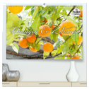 Emotionale Momente: Orangen und Zitronen. (hochwertiger Premium Wandkalender 2024 DIN A2 quer), Kunstdruck in Hochglanz