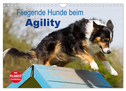 Fliegende Hunde beim Agility (Wandkalender 2025 DIN A4 quer), CALVENDO Monatskalender