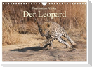 Faszination Afrika: Der Leopard (Wandkalender 2024 DIN A4 quer), CALVENDO Monatskalender