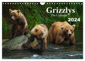 Steinwald, Max. Grizzlys - The Calendar UK-Version (Wall Calendar 2024 DIN A4 landscape), CALVENDO 12 Month Wall Calendar - Grizzly Bears - a photo shoot in the Alaskan wilderness. Calvendo, 2023.