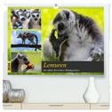 Lemuren die süßen Bewohner Madagaskars (hochwertiger Premium Wandkalender 2024 DIN A2 quer), Kunstdruck in Hochglanz