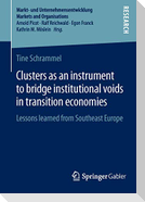 Clusters as an instrument to bridge institutional voids in transition economies
