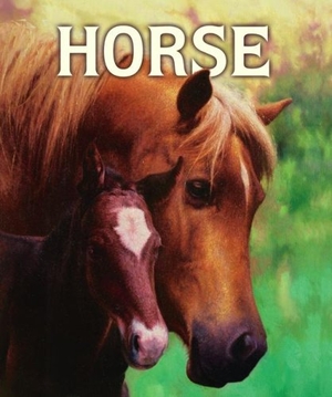 Doyle, Malachy. Horse. Margaret K. McElderry Books, 2008.