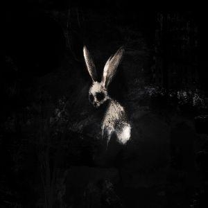 FOLLOW THE WHITE RABBIT (Ltd. CD Digipak). Sony Music Entertainment Germany GmbH / München, 2026.