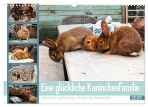 Maas, Christoph. Eine glückliche Kaninchenfamilie (Wandkalender 2025 DIN A3 quer), CALVENDO Monatskalender - Bezaubernde Fotos zuckersüßer und knuddeliger Hasenkinder. Calvendo, 2024.