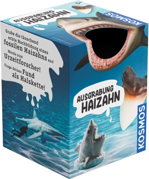Ausgrabung Haizahn - Experimentierkasten. Franckh-Kosmos, 2026.