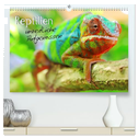 Reptilien urzeitliche Artgenossen (hochwertiger Premium Wandkalender 2024 DIN A2 quer), Kunstdruck in Hochglanz
