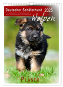 Deutscher Schäferhund - Welpen, Planer (Wandkalender 2025 DIN A4 hoch), CALVENDO Monatskalender