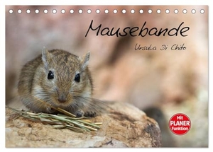 Di Chito, Ursula. Mausebande (Tischkalender 2024 DIN A5 quer), CALVENDO Monatskalender - Ein Kalender mit kleinen niedlichen Mäusen. Calvendo Verlag, 2023.