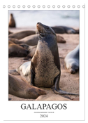 Galapagos - Atemberaubende Tierwelt (Tischkalender 2024 DIN A5 hoch), CALVENDO Monatskalender